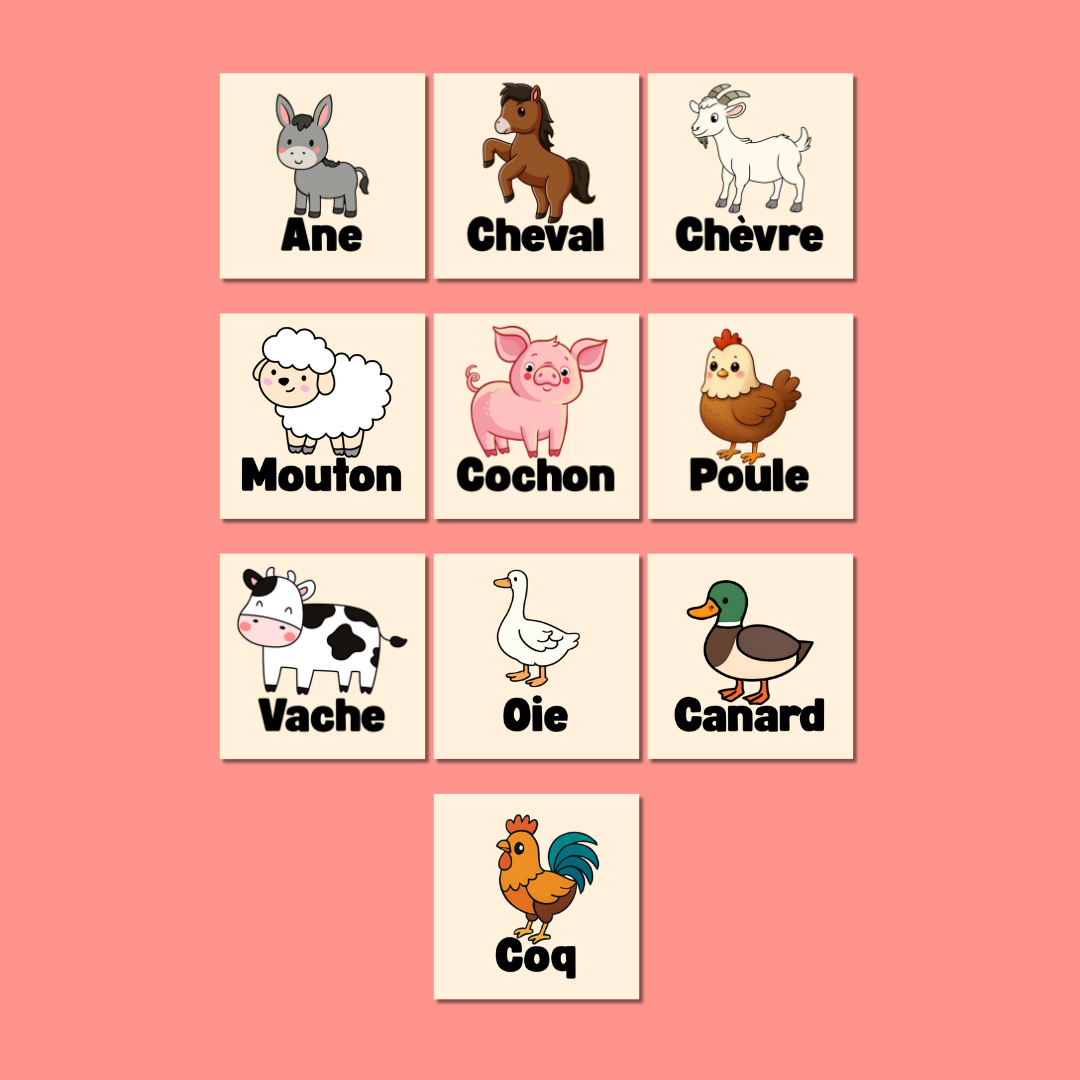 Animaux – Pack de 10 magnets éducatifs