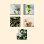 Magnets décoratifs – Plantes