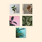 Magnets décoratifs – Plantes