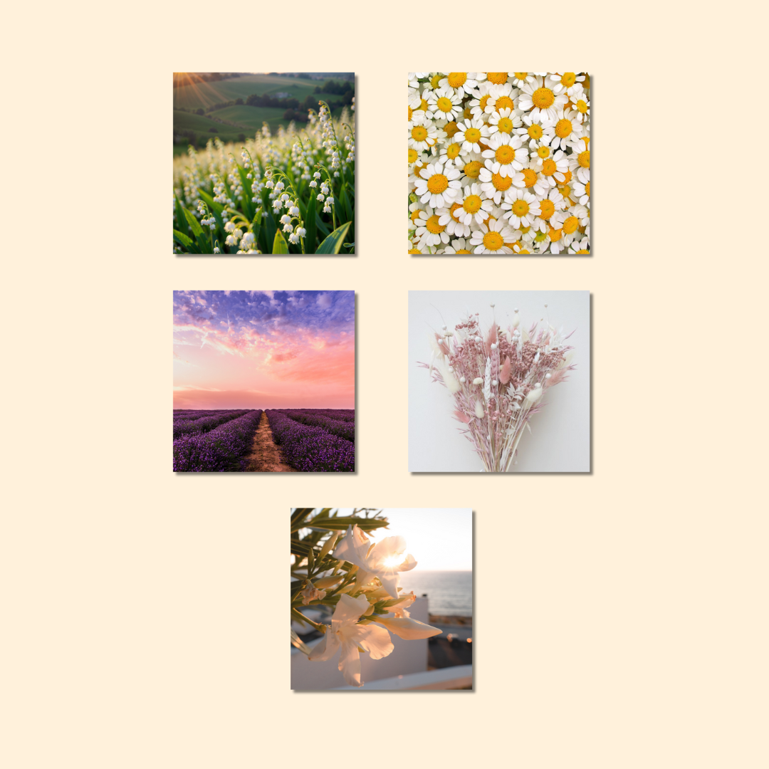 Magnets décoratifs – Fleurs