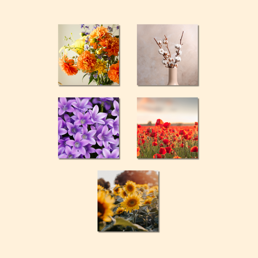 Magnets décoratifs – Fleurs