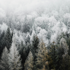 Magnets décoratifs - Hiver