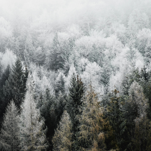 Magnets décoratifs - Hiver