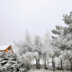 Magnets décoratifs - Hiver