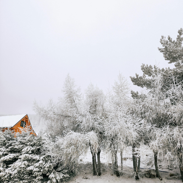 Magnets décoratifs - Hiver