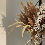 Magnets décoratifs – Plantes