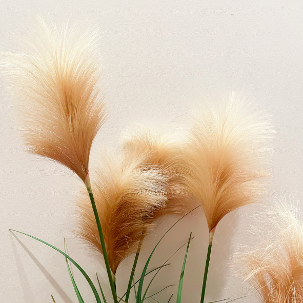 Magnets décoratifs – Plantes